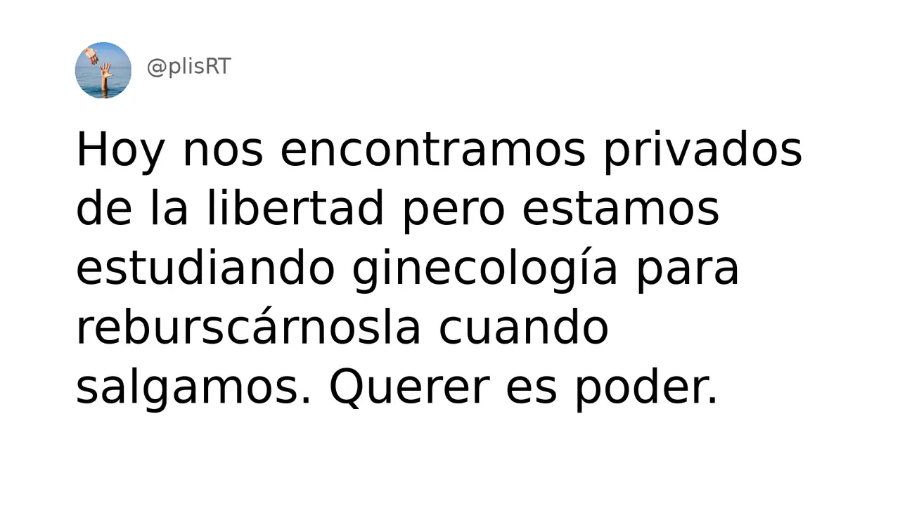 PlisRt 28
