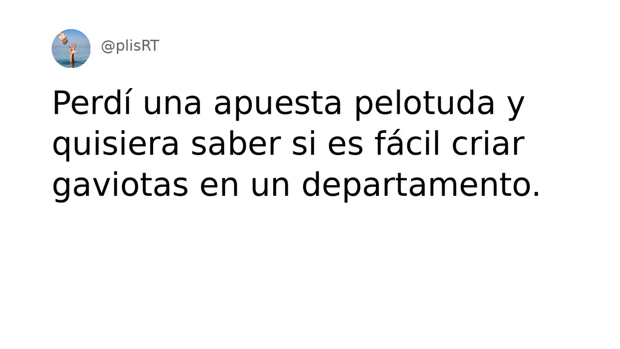 PlisRt 35