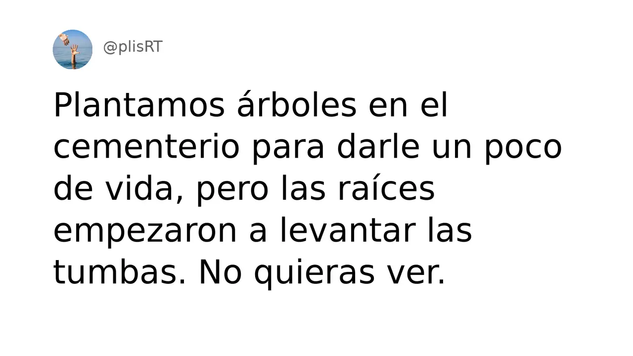 PlisRt 91