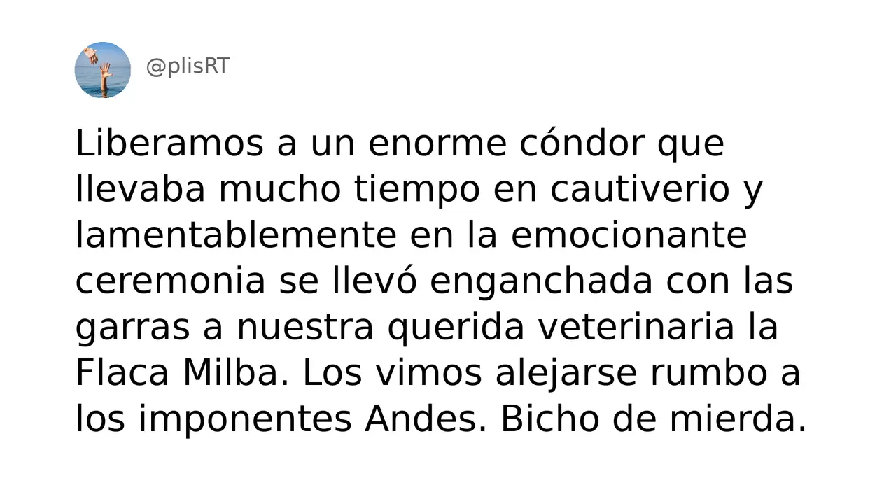PlisRt 132