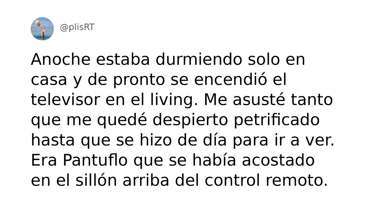 PlisRt 205