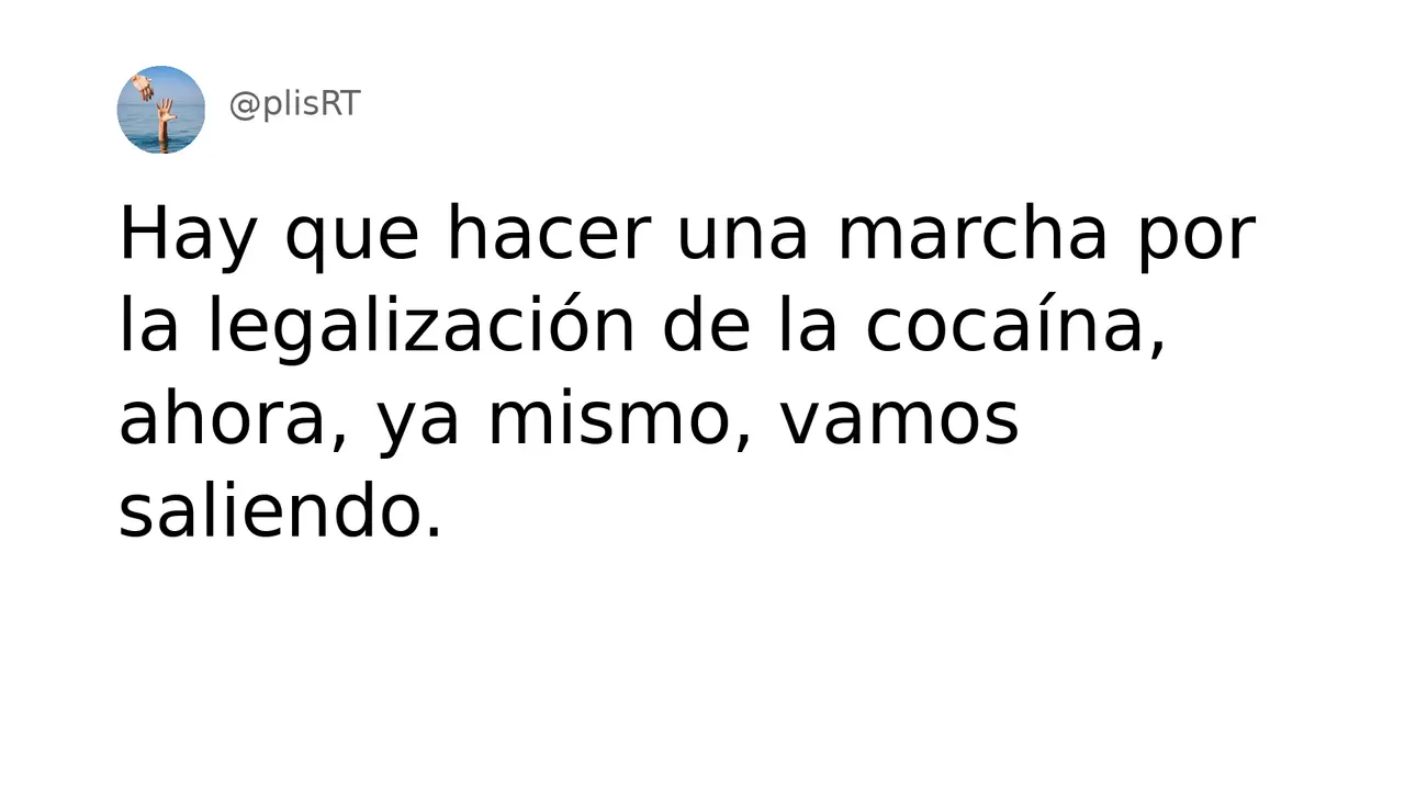 PlisRt 206
