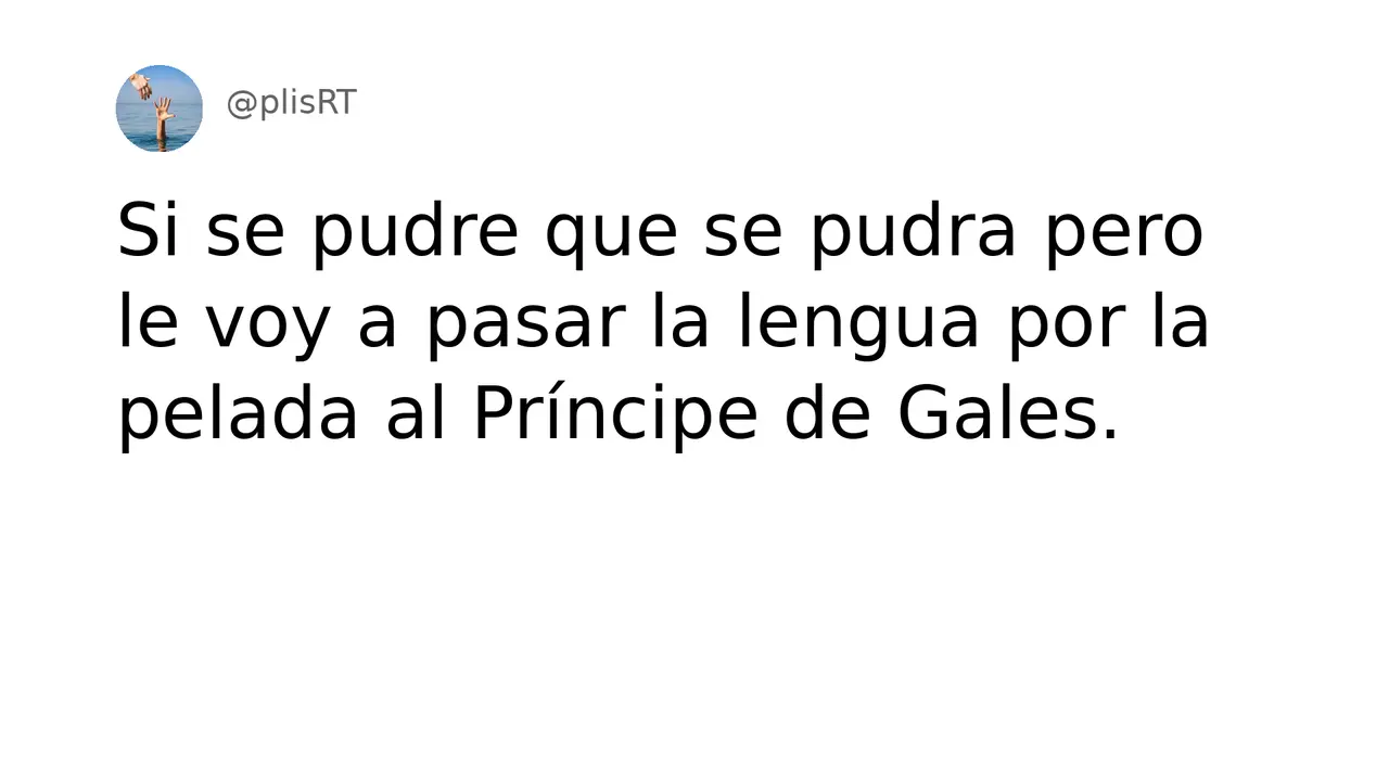 PlisRt 234