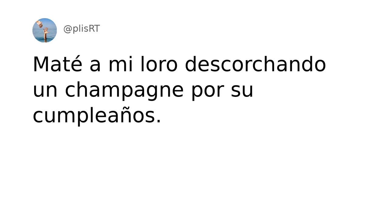 PlisRt 309