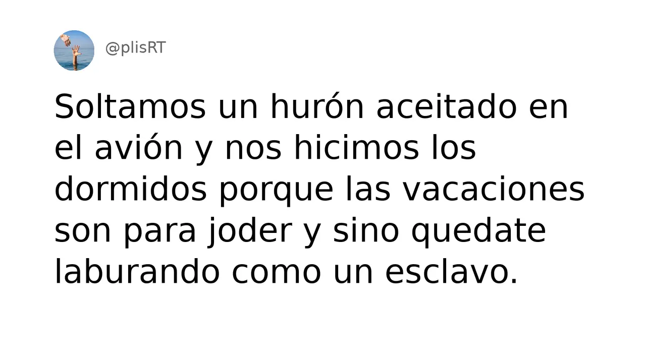 PlisRt 312