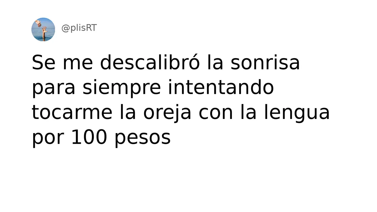 PlisRt 313