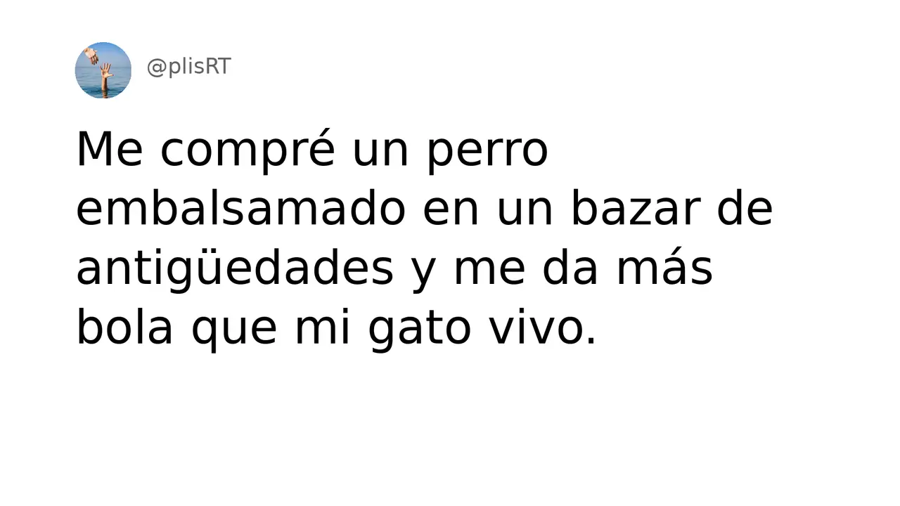 PlisRt 324