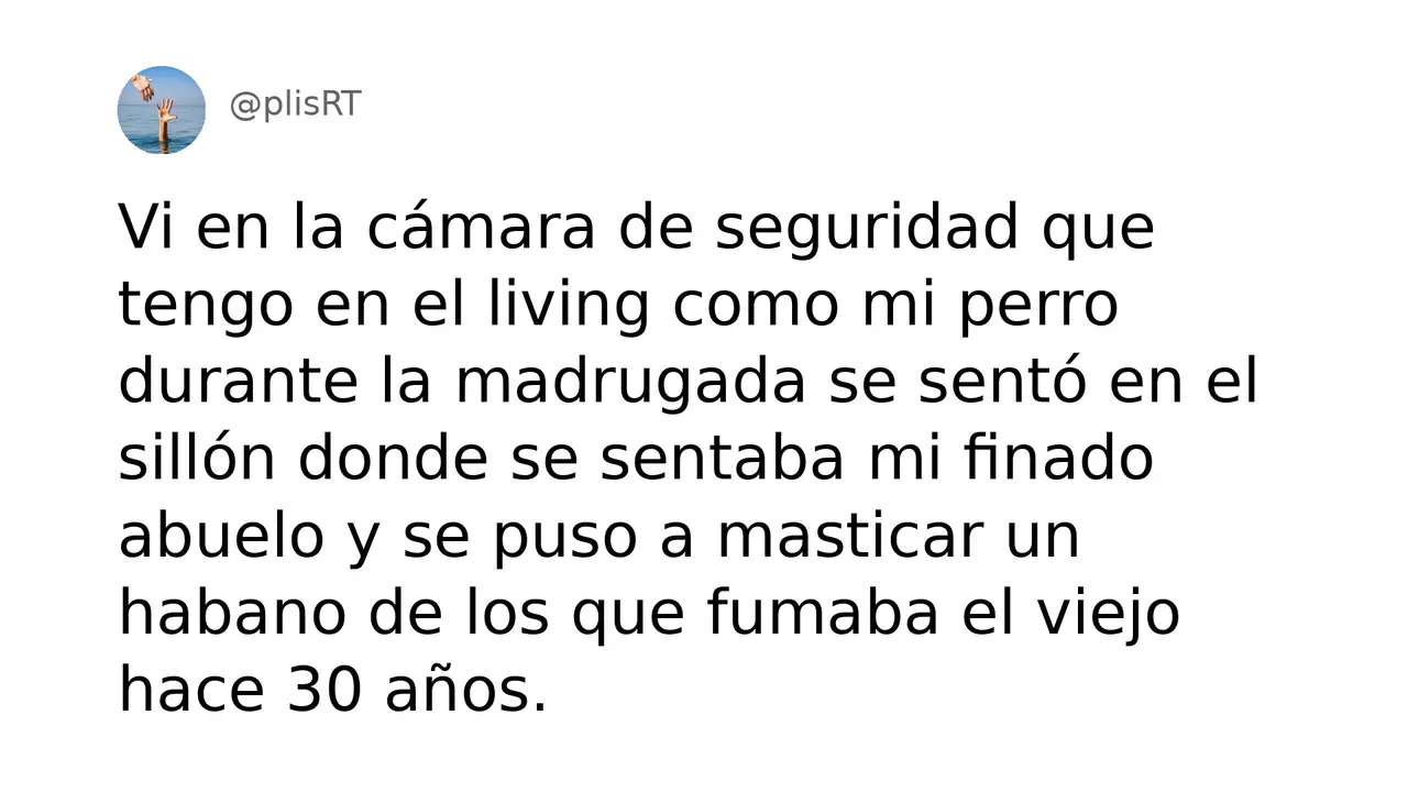 PlisRt 394