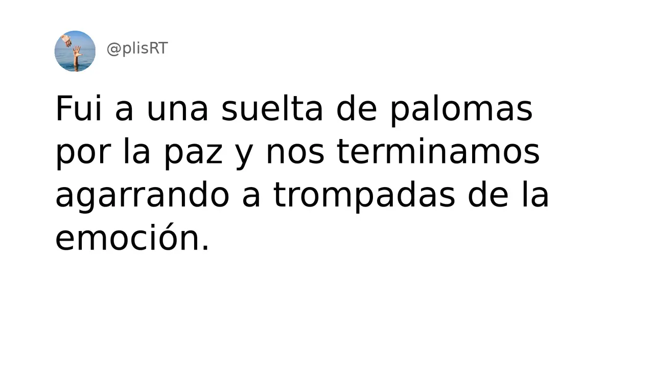 PlisRt 425