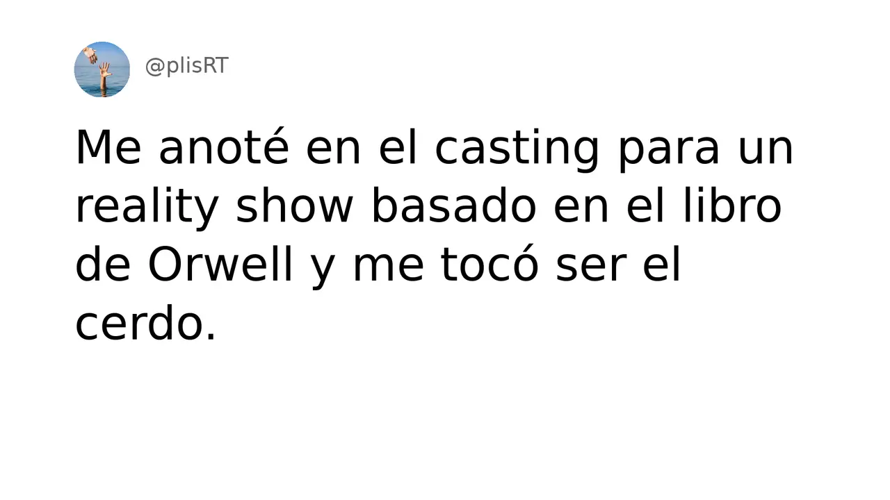 PlisRt 441