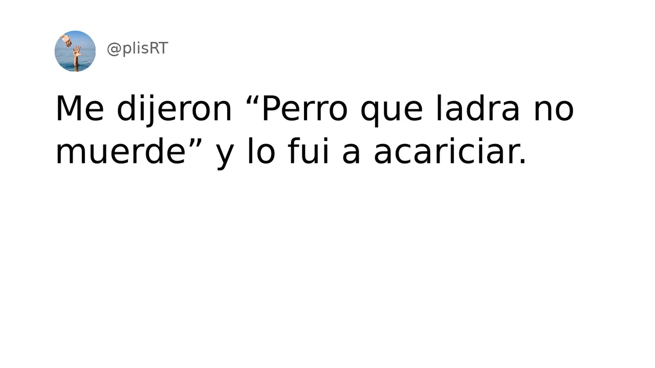 PlisRt 445