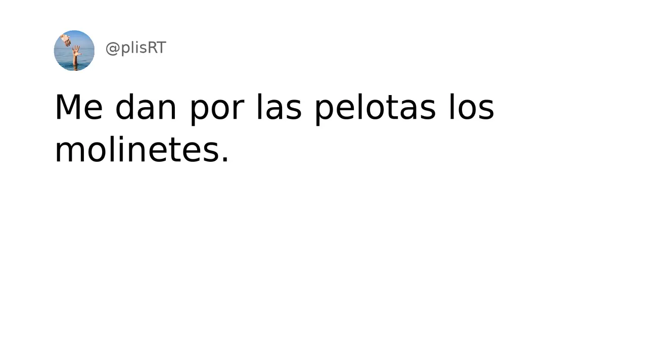 PlisRt 449