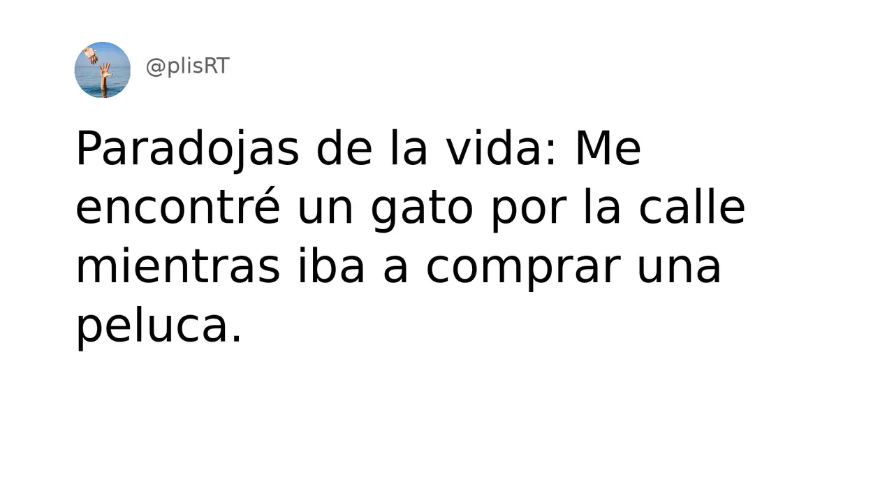 PlisRt 458