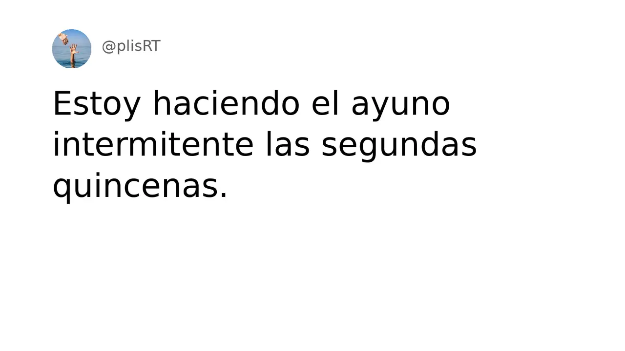 PlisRt 481