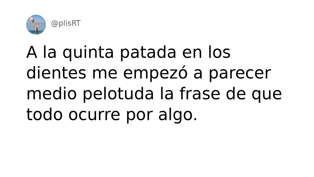 PlisRt 495