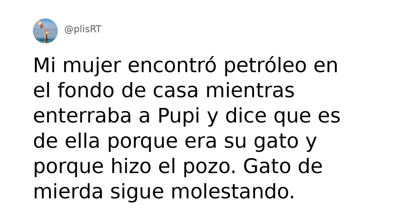 PlisRt 499