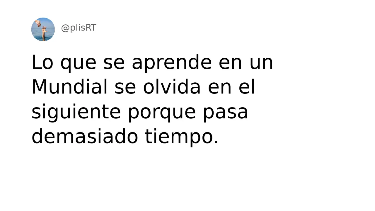 PlisRt 504