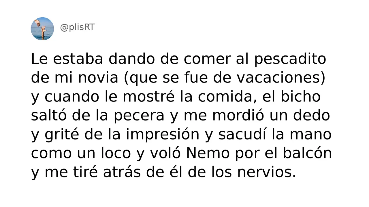 PlisRt 587