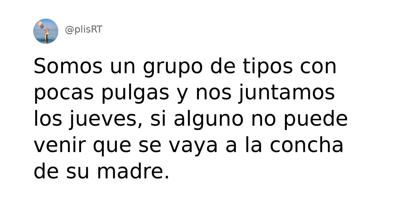 PlisRt 595